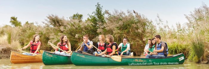 Balade en canoë pour les groupes en Vendée